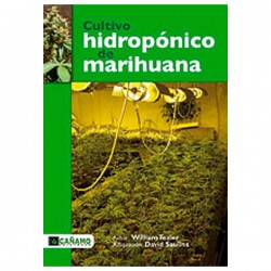 Cultivo Hidroponico de Marihuana