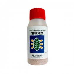 Spidex Phytoseiulus 2000 - Araña Roja