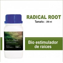 Radical Root - Trabe