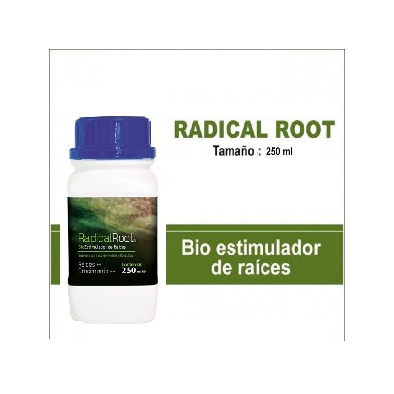 Radical Root - Trabe