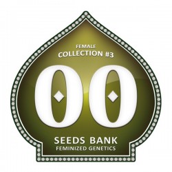 Female Collection 3 - Feminizadas - 00 Seeds