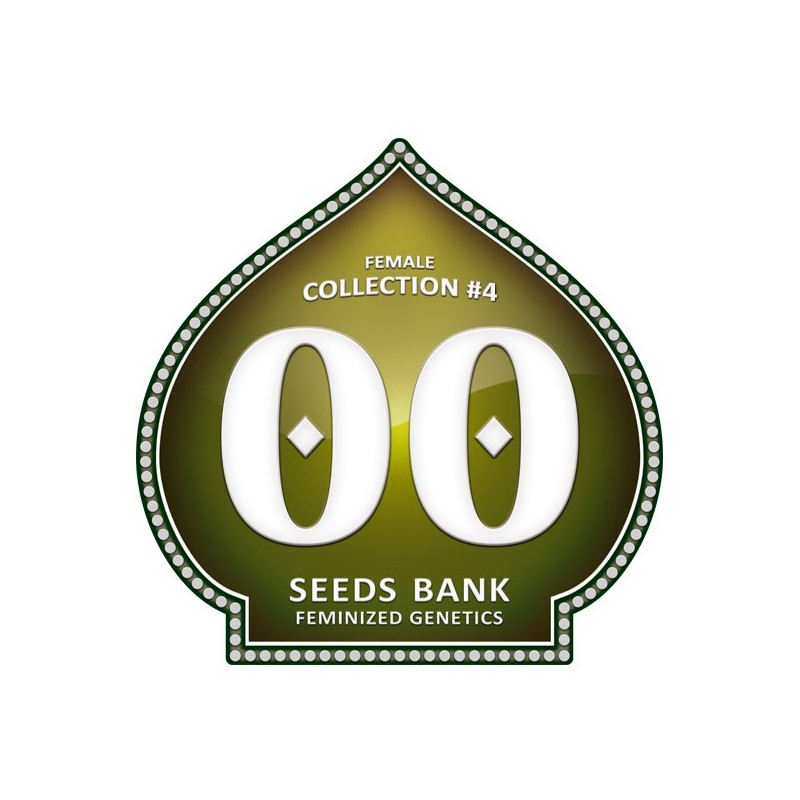 Female Collection 4 - Feminizadas - 00 Seeds