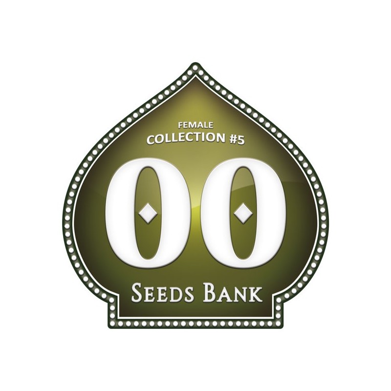 Female Collection 5 - Feminizadas - 00 Seeds