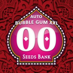 Auto Bubble Gum XXL - Autoflorecientes - 00 Seeds