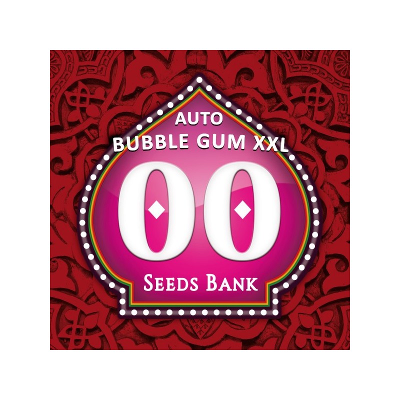 Auto Bubble Gum XXL - Autoflorecientes - 00 Seeds