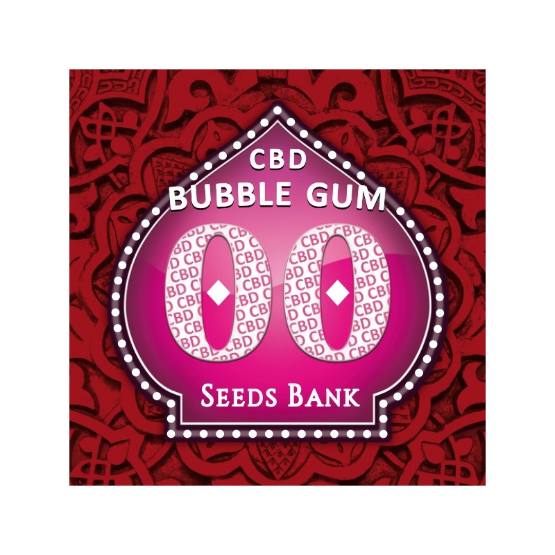 Bubble Gum CBD - Feminizadas - 00 Seeds
