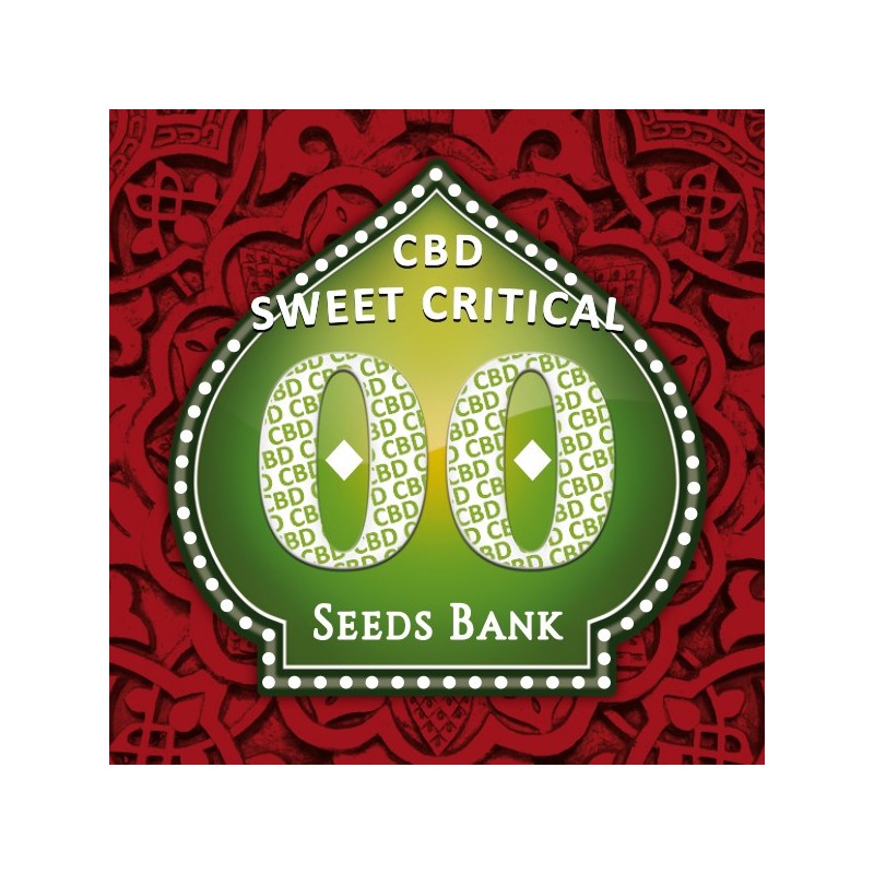 Sweet Critical CBD - Feminizadas - 00 Seeds