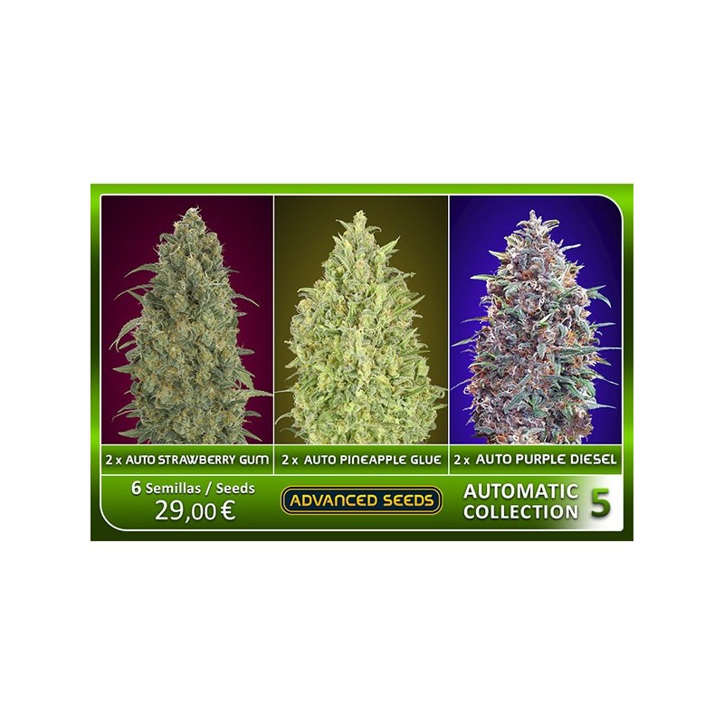 Automatic Collection nº 5 - Advanced Seeds