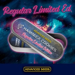 Hammer Cookies - Regulares - Advanced Seeds