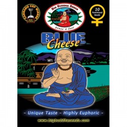 Blue Cheese - Feminizadas - Big Buddha Seeds