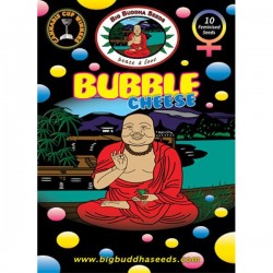Bubble Cheese - Feminizadas - Big Buddha Seeds