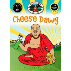 Cheese Dawg - Feminizadas - Big Buddha Seeds