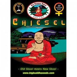 Chiesel - Feminizadas - Big Buddha Seeds