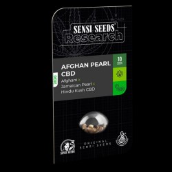 Auto Afghan Pearl CBD - Autoflorecientes - Sensi Seeds Research