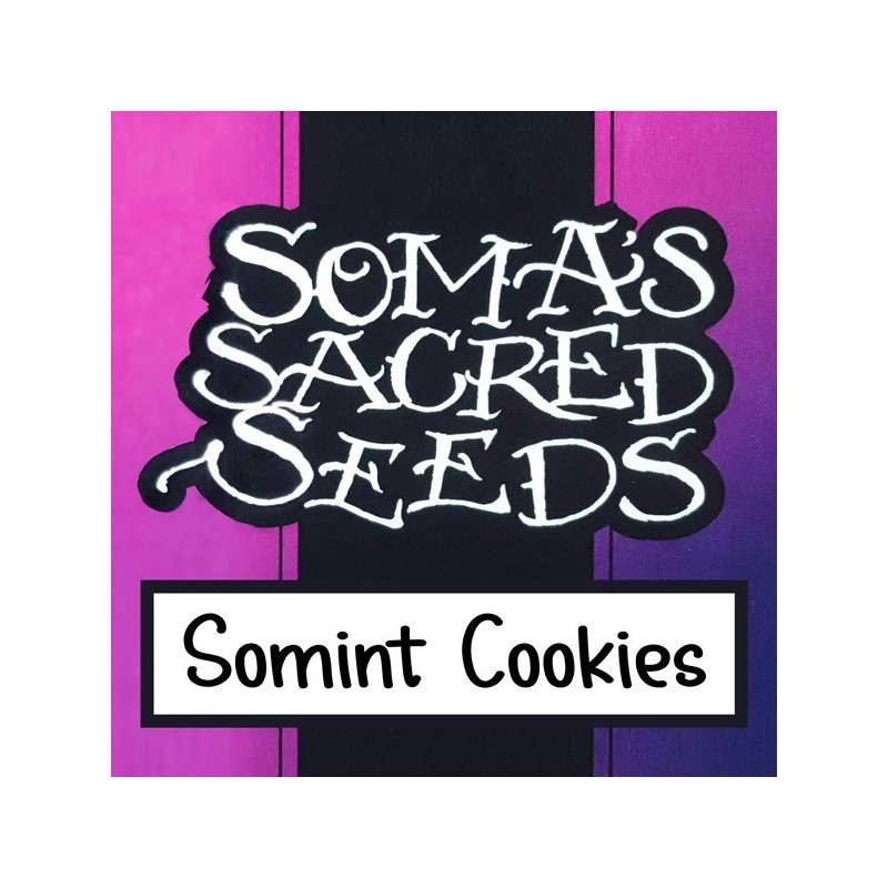Somint Cookies - Feminizadas - Soma Seeds