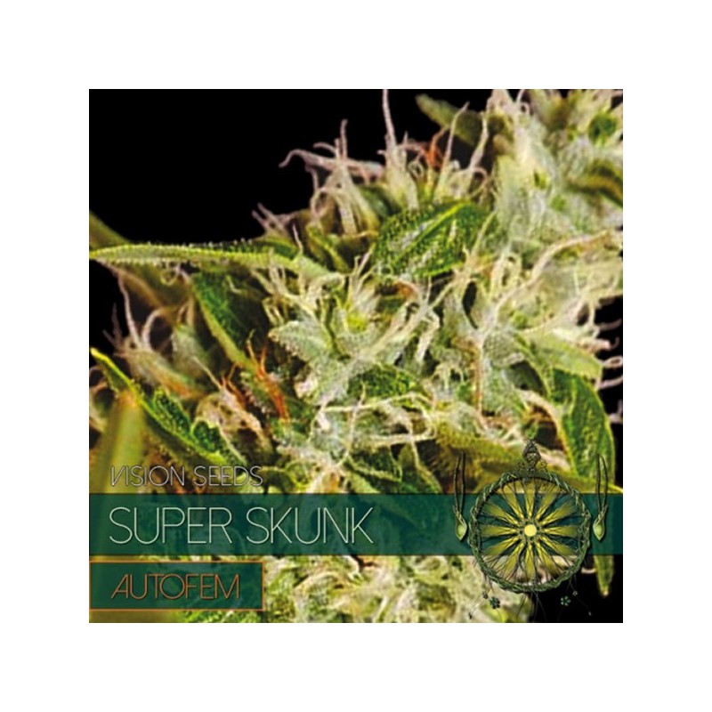 Auto Super Skunk - Autoflorecientes - Vision Seeds