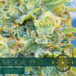 Medical 49 CBD+ - Feminizadas - Vision Seeds