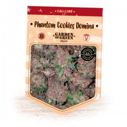 Phantom Cookie Domina - Feminizadas - Garden of Green Seeds