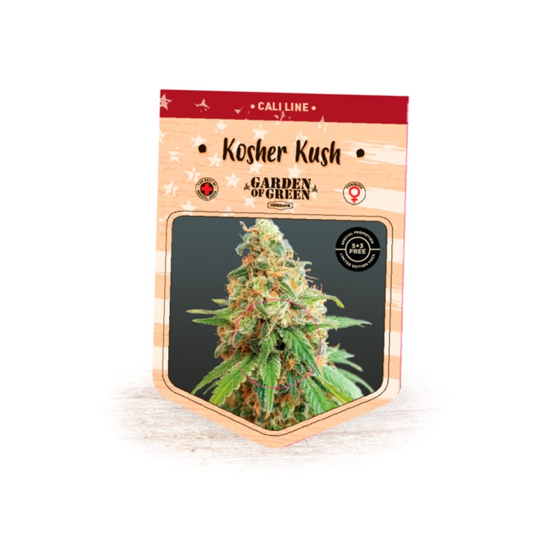 Kosher Kush - Feminizadas - Garden of Green Seeds
