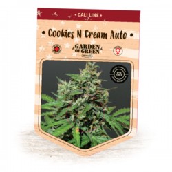 Auto Cookies N Cream - Autoflorecientes - Garden of Green Seeds