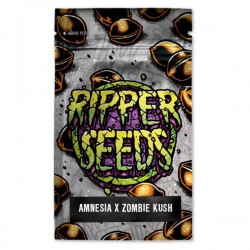 Amnesia x Zombie Kush - Feminizadas - Ripper Seeds - 3 Uds