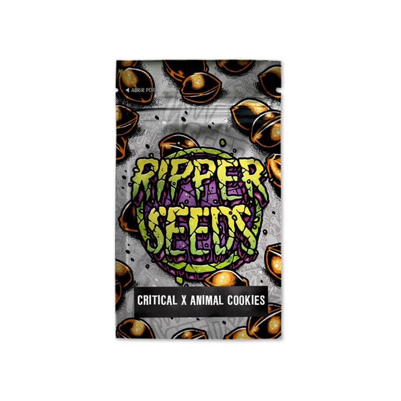 Critical x Animal Cookies - Feminizadas - Ripper Seeds - 3 Uds
