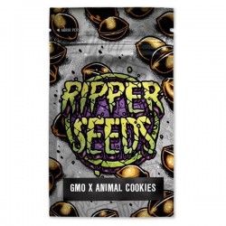GMO x Animal Cookies - Feminizadas - Ripper Seeds - 3 Uds