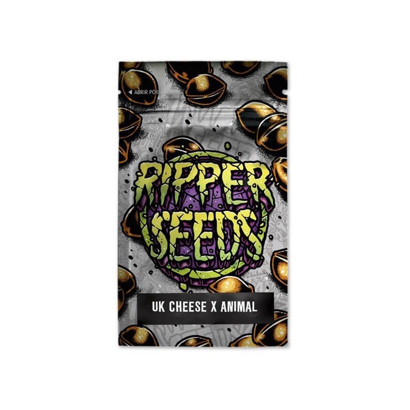 Uk Cheese x Animal Cookies - Feminizadas - Ripper Seeds - 3 Uds