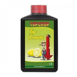 Top Lemon - Top Crop