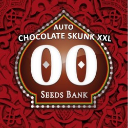 Auto Chocolate Skunk XXL - Autoflorecientes - 00 Seeds