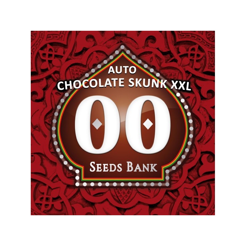Auto Chocolate Skunk XXL - Autoflorecientes - 00 Seeds