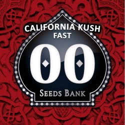 California Kush Fast - Feminizadas - 00 Seeds