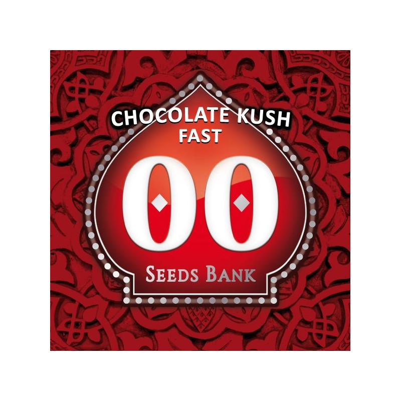 Chocolate Kush Fast - Feminizadas - 00 Seeds