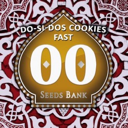 Do-Si-Dos Cookies Fast - Feminizadas - 00 Seeds