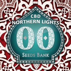 Northern Lights CBD - Feminizadas - 00 Seeds