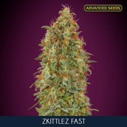 Zkittlez Fast - Feminizadas - Advanced Seeds