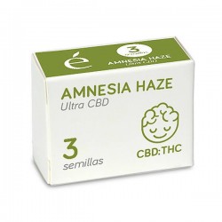 Amnesia Haze Ultra CBD - Feminizadas - Elite Seeds