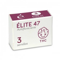 Auto Elite 47 - Autoflorecientes - Elite Seeds