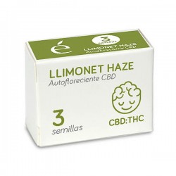 Auto Llimonet Haze CBD - Autoflorecientes - Elite Seeds
