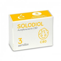 Auto Solodiol CBD - Autoflorecientes - Elite Seeds