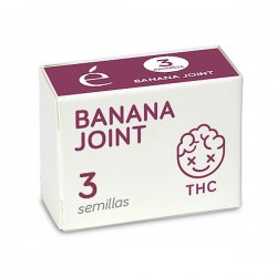Banana Joint - Feminizadas - Elite Seeds