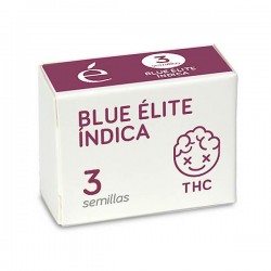 Blue Elite Indica - Feminizadas - Elite Seeds