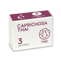 Caprichosa Thai - Feminizadas - Elite Seeds