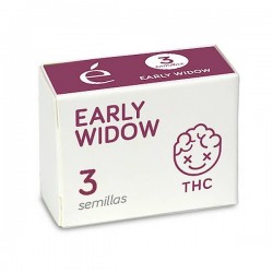 Early Widow - Feminizadas - Elite Seeds