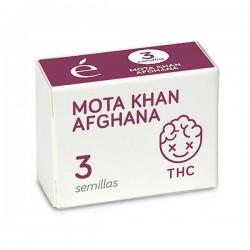Mota Khan Afgana - Feminizadas - Elite Seeds
