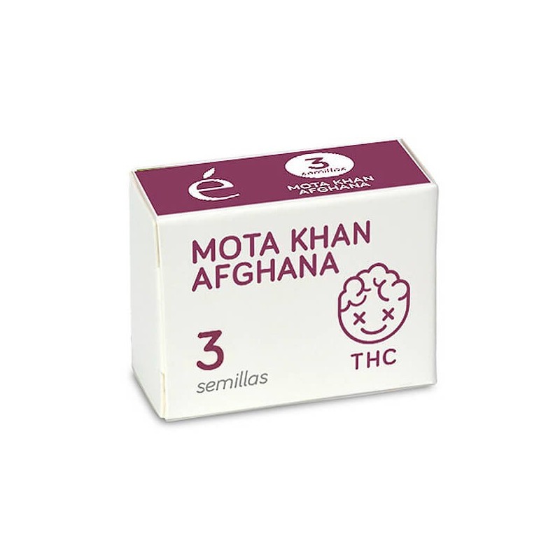 Mota Khan Afgana - Feminizadas - Elite Seeds