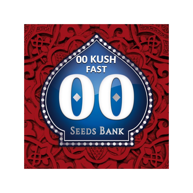 00 Kush Fast - Feminizadas - 00 Seeds