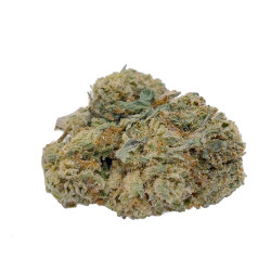 Flores de Gelato CBD