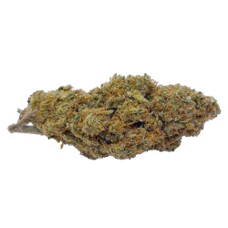 Flores de Mango Kush CBD