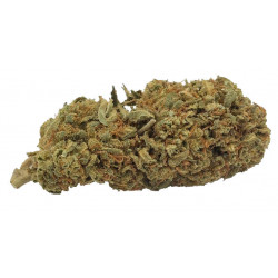 Flores de California Orange CBD